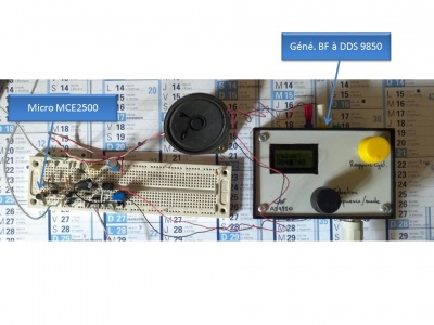 Bat-detector.jpg