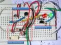 Thumbnail for version as of 06:46, 19 April 2012