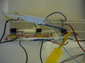 Thumbnail for version as of 17:00, 21 January 2012