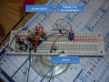 Thumbnail for version as of 13:00, 28 March 2014