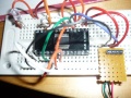 Thumbnail for version as of 21:00, 14 February 2011