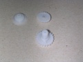 Thumbnail for version as of 20:27, 2 April 2011