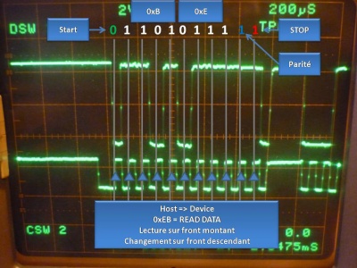 Souris ps2 host device.jpg