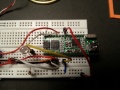 Thumbnail for version as of 16:20, 7 January 2018